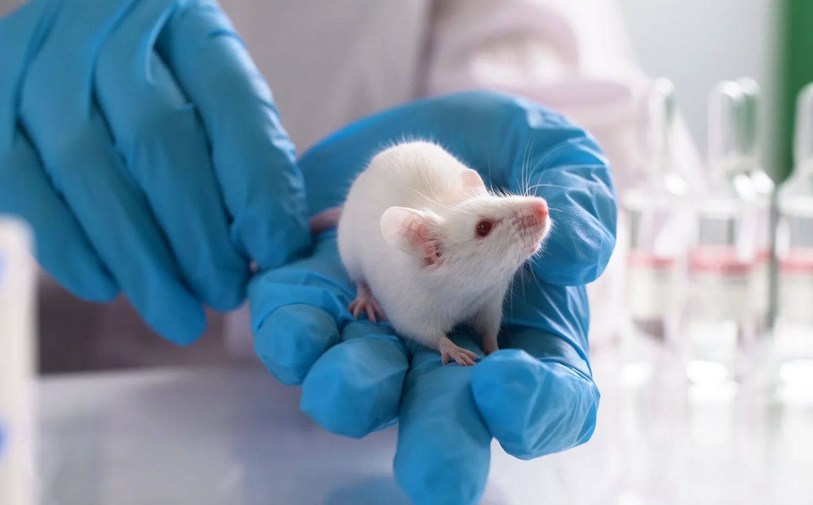 EXTRALAB laboratory — medical tests and scientific research